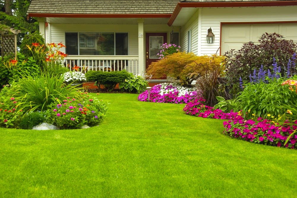 landscape artificial grass 27 landscape artificial grass 27